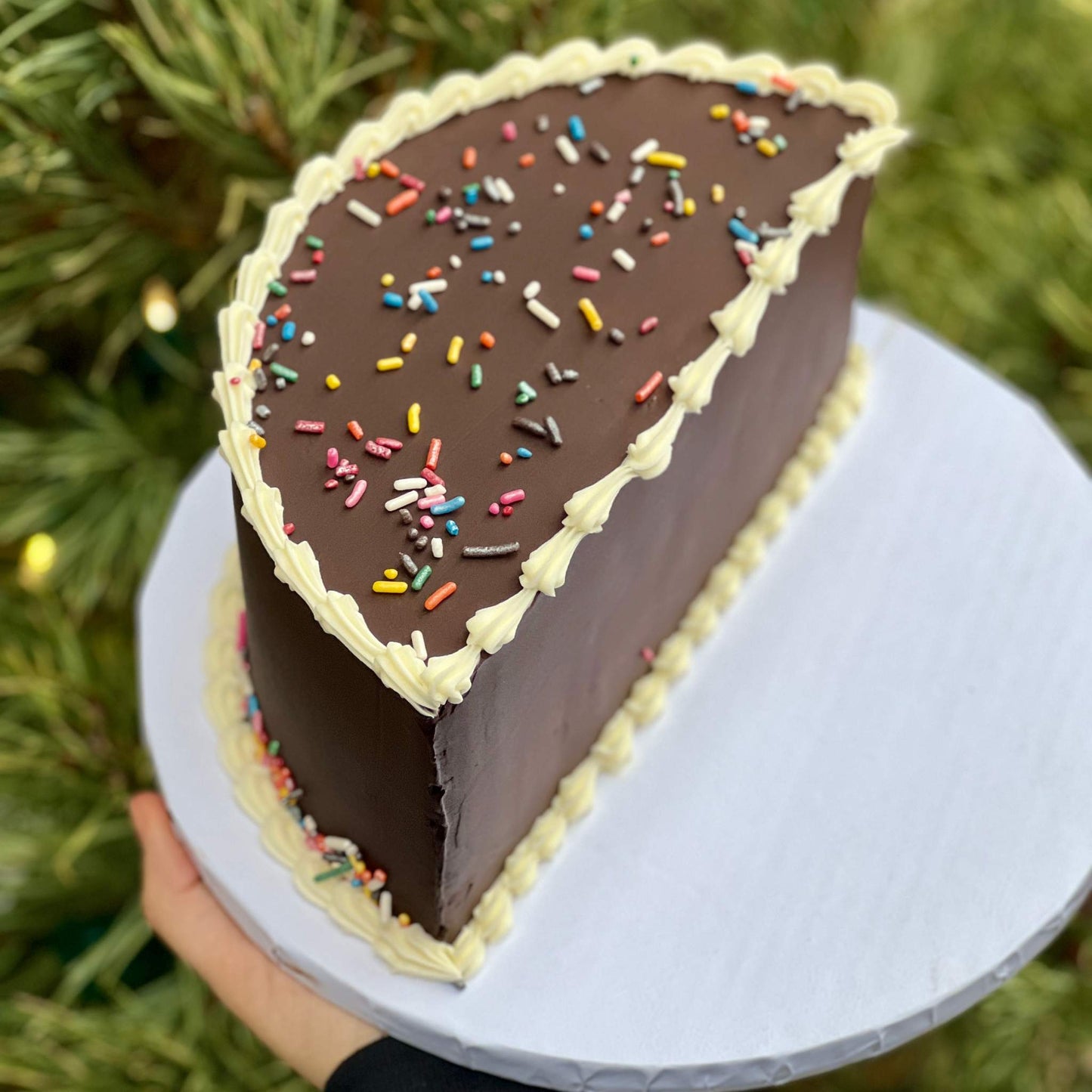 Chocolate Covered 1/2 Birthday Cake, Tre Mari Bakery
